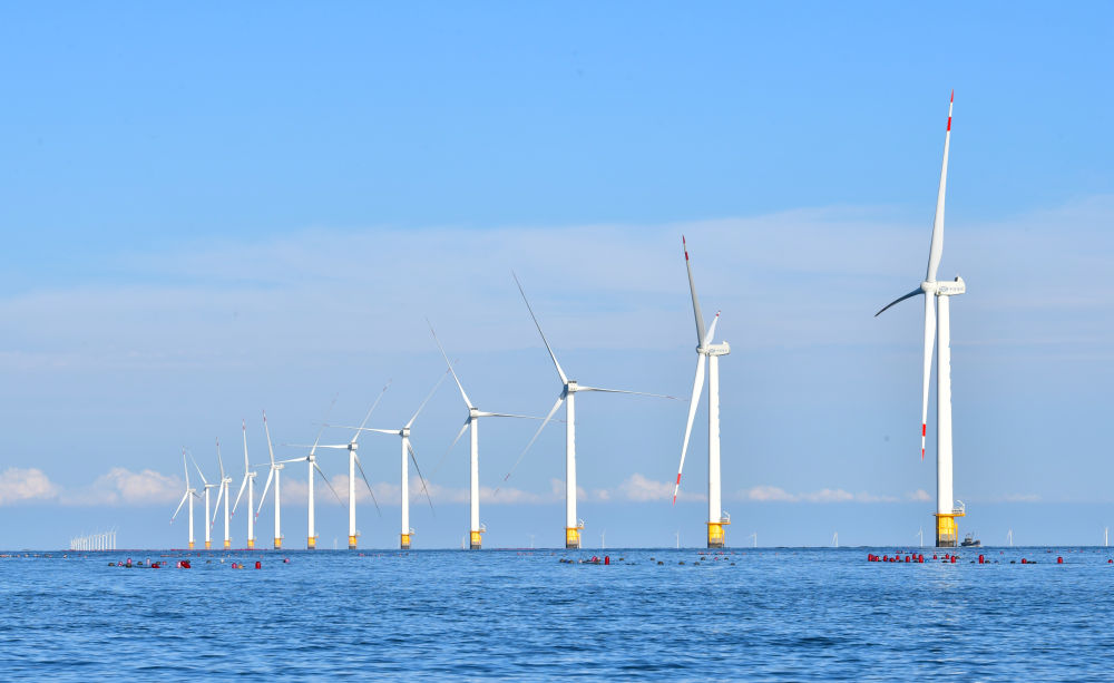 2023年9月13日拍摄的辽宁大连庄河海上风电项目。新华社记者 杨青 摄